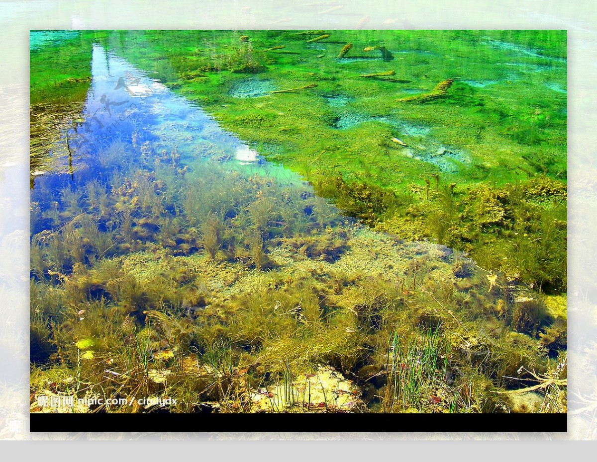 九寨沟色彩斑斓的湖水图片