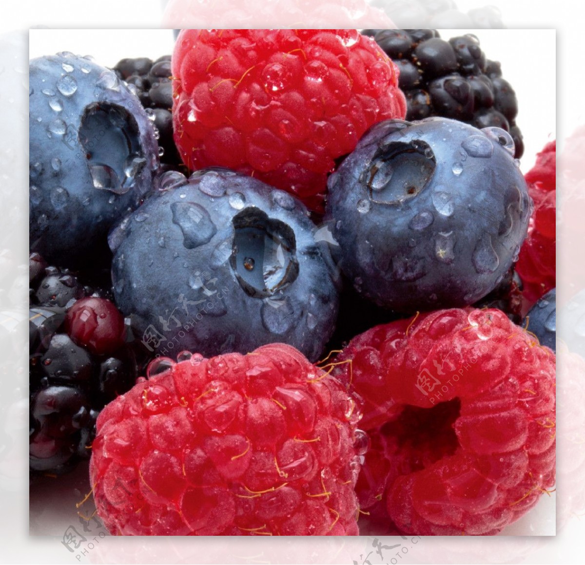 高清水果图蓝莓图片