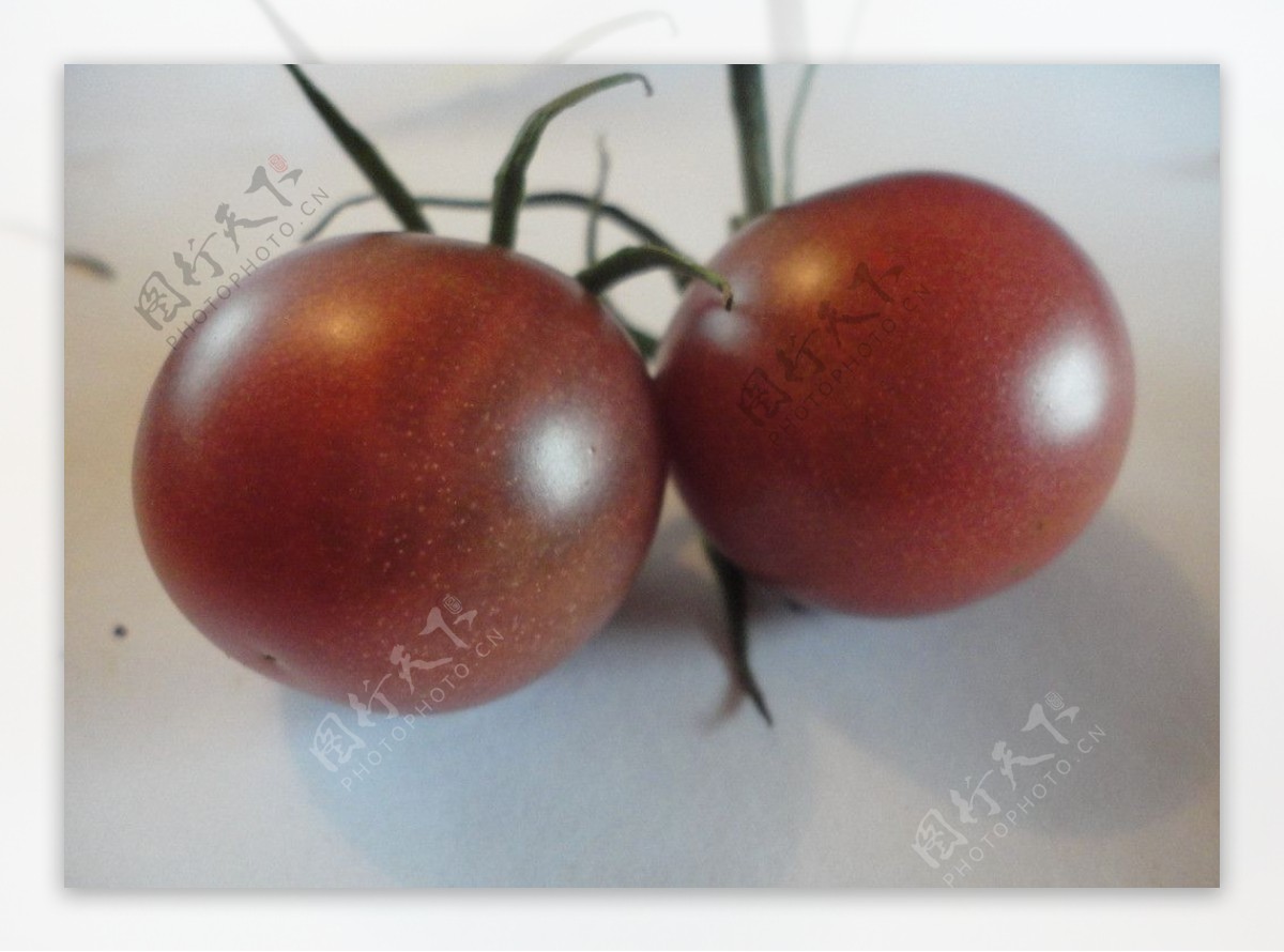 紫番茄图片