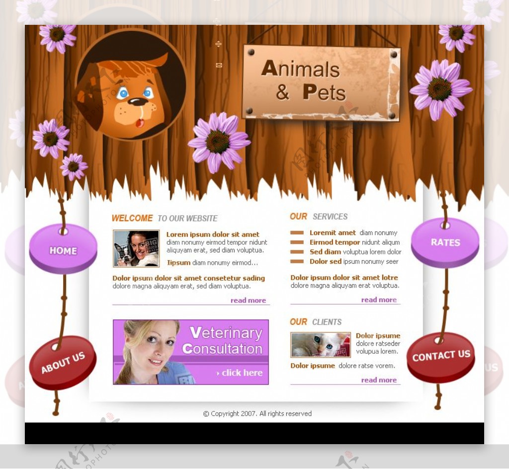 动物宠物保护机构网页模板图片