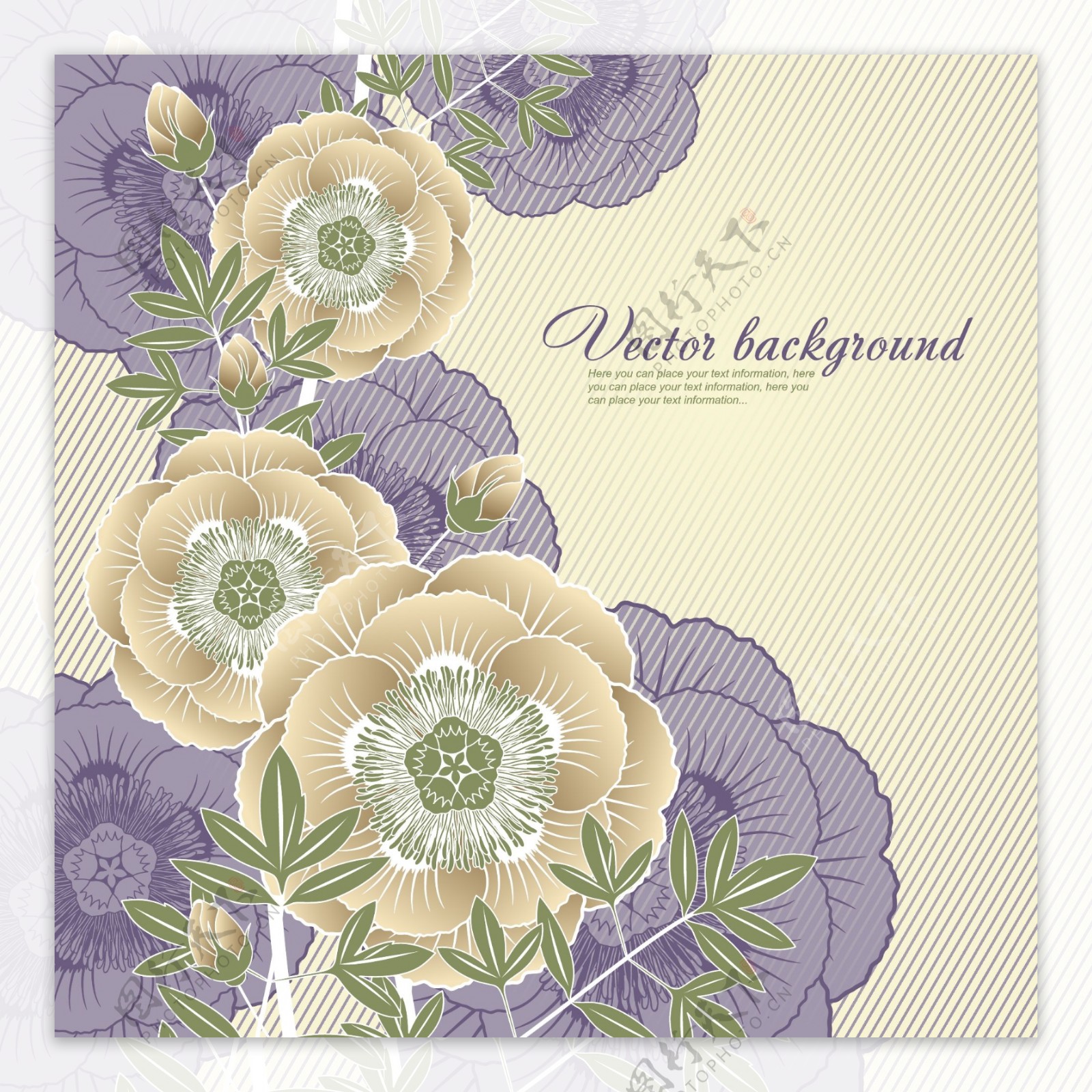 紫色花卉底纹背景图片