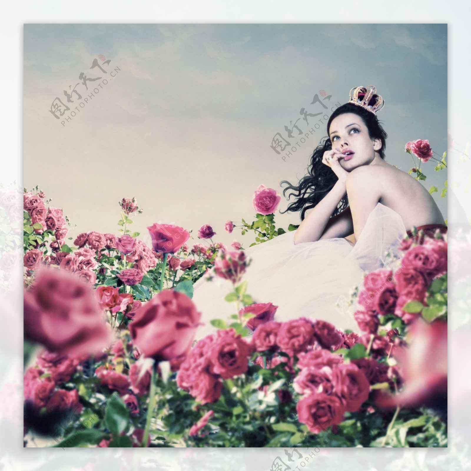 玫瑰园里的公主图片