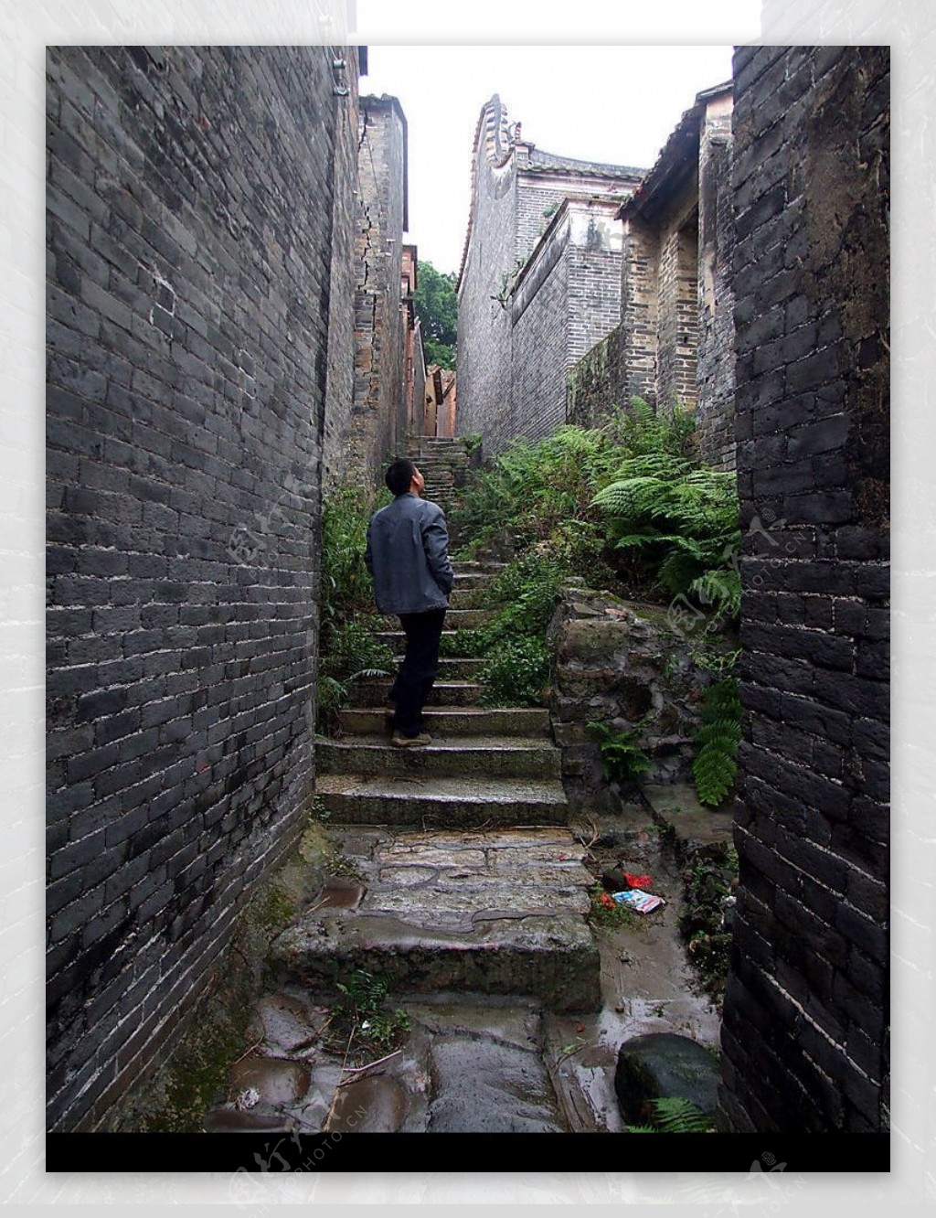 广州蚬岗的八卦村图片