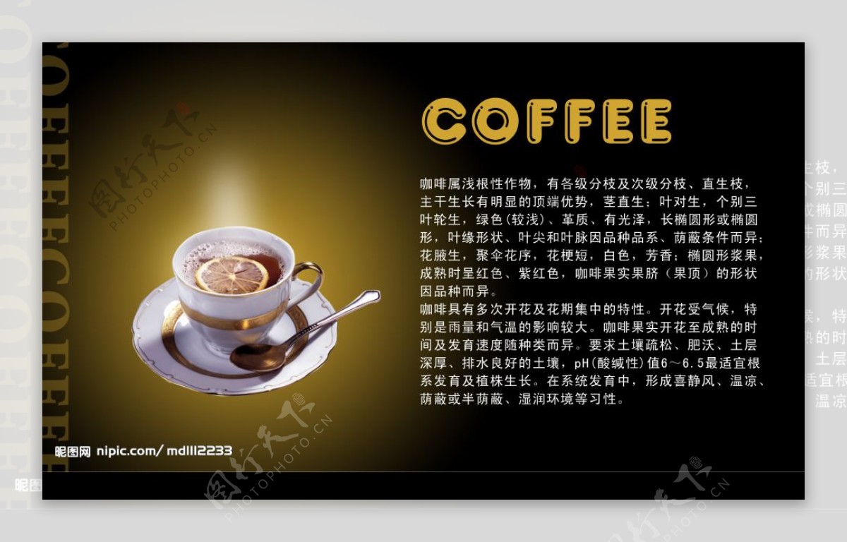 咖啡广告图片