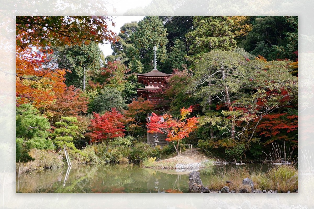 日本园林图片