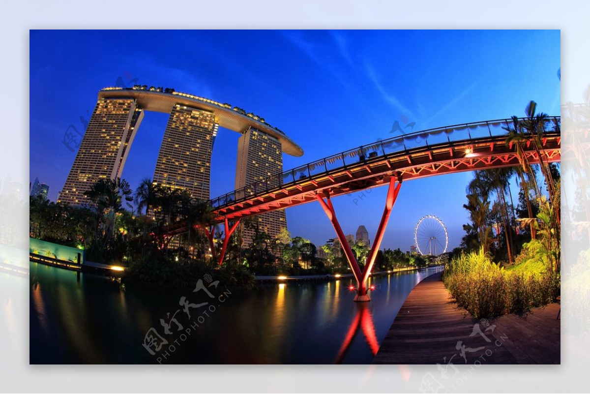 新加坡都市夜景图片