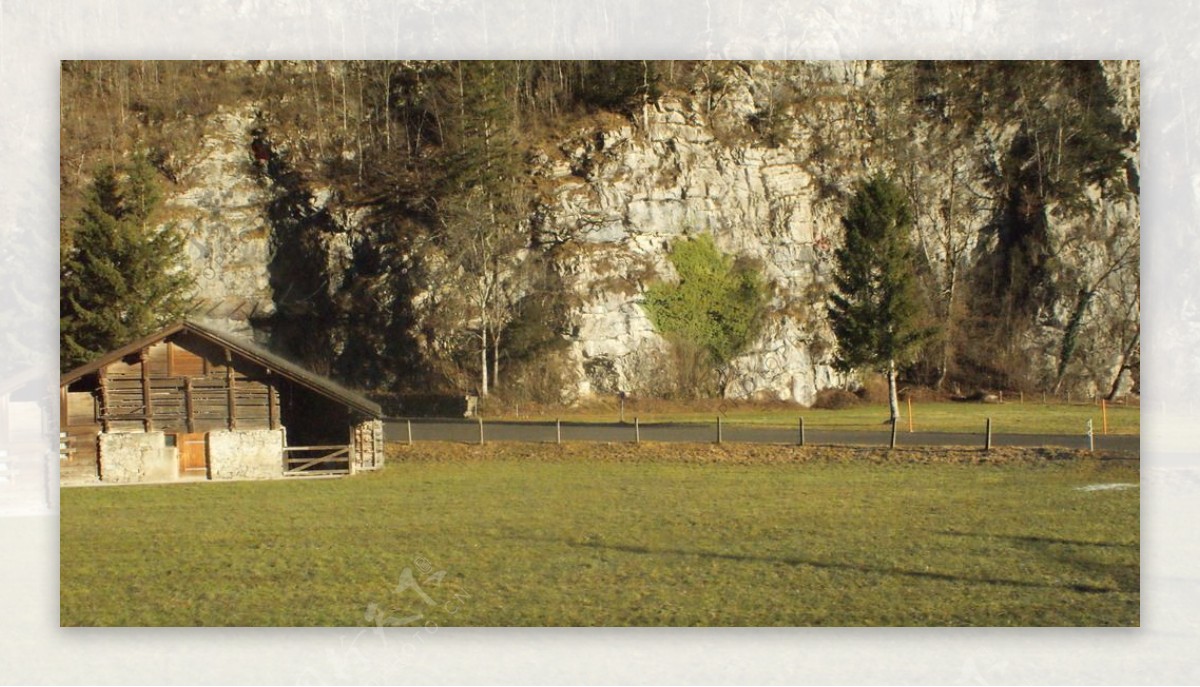 瑞士的牧场图片