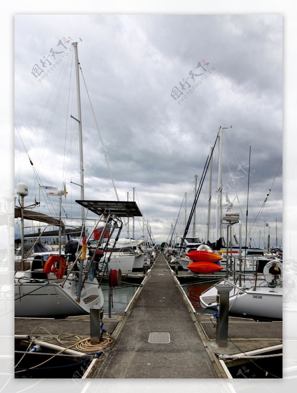 新西兰游艇码头图片