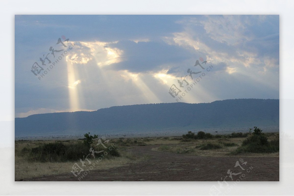 肯尼亚马赛马拉落日图片