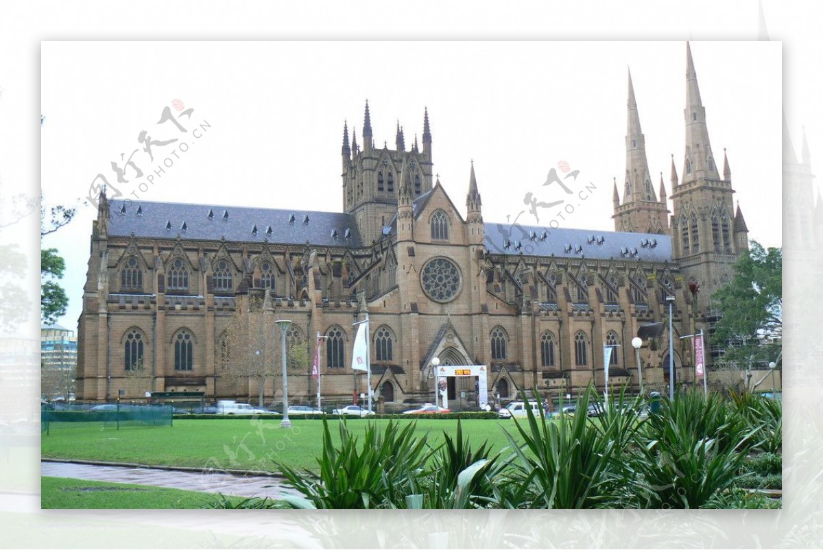 悉尼大教堂图片