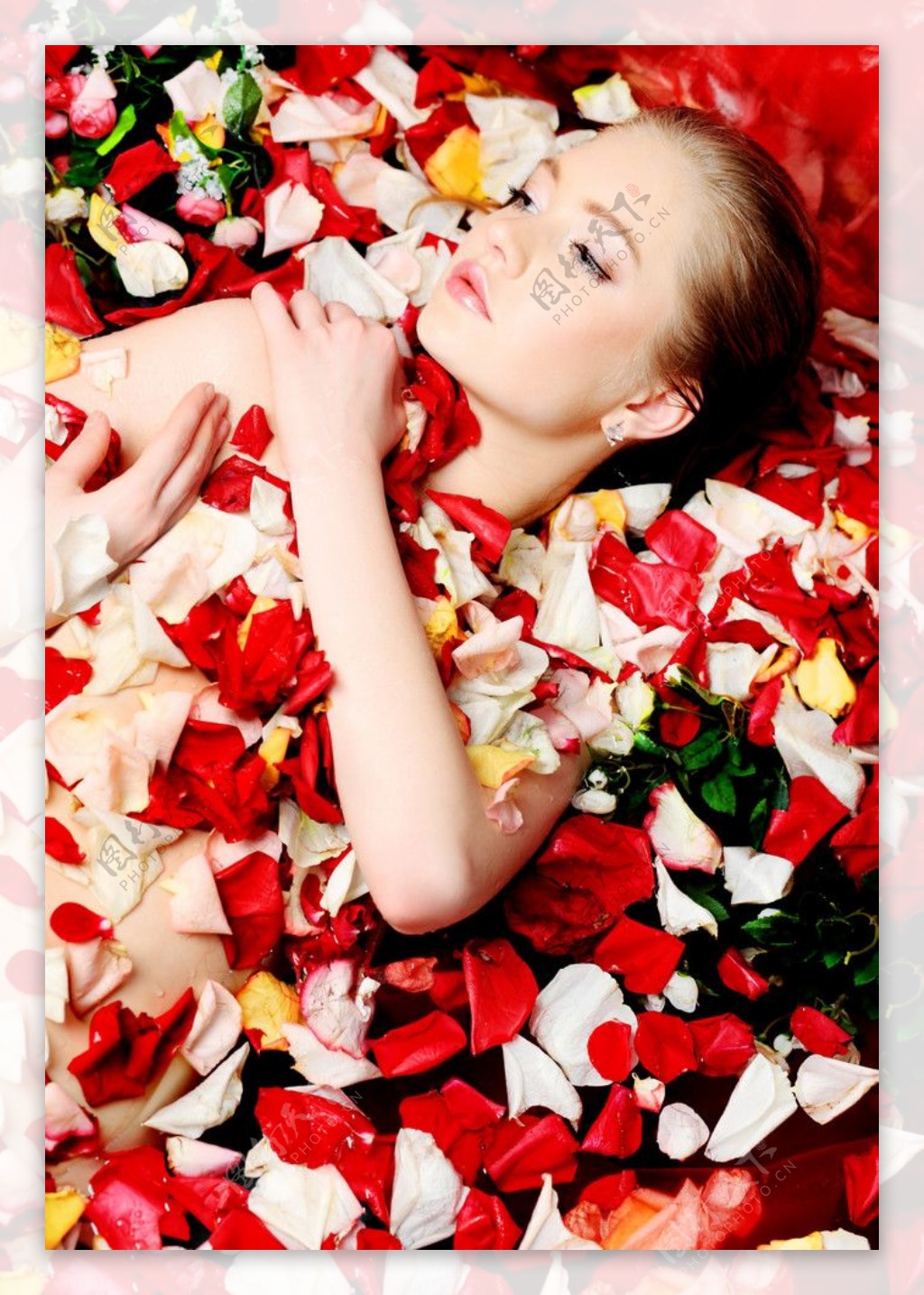 安卧玫瑰花中的女孩图片