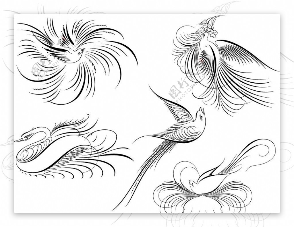 动感线条小鸟天鹅装饰花纹图片