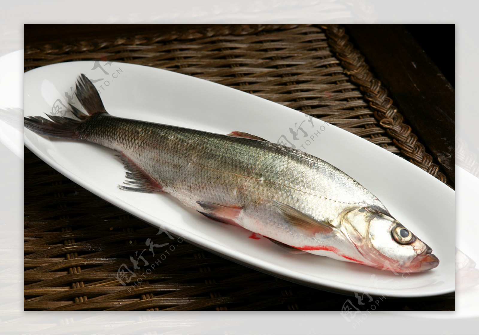 本养殖场出售翘嘴白鱼，规格1-3斤 浙江湖州-食品商务网