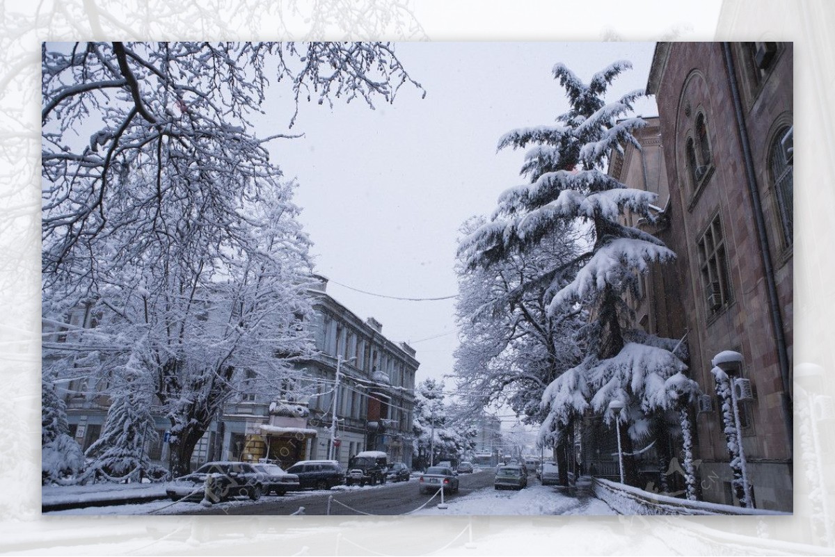 第比利斯街道雪景图片