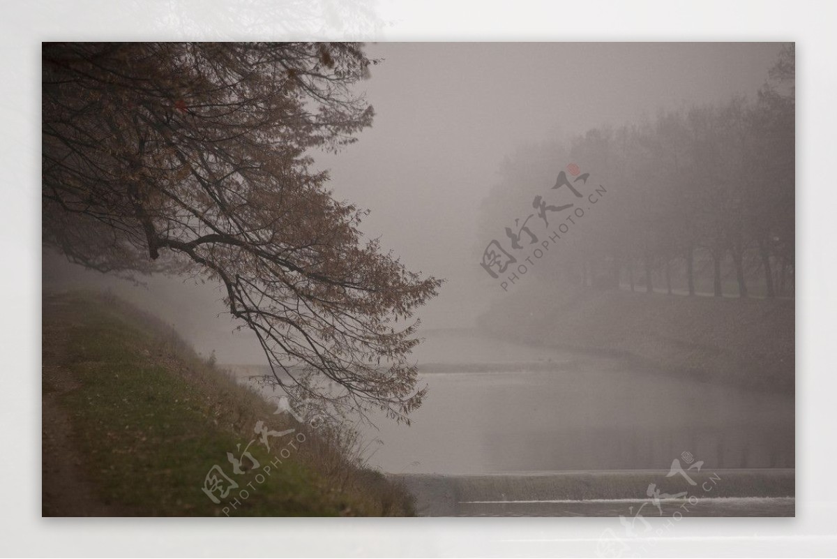 米利亚河的迷雾图片