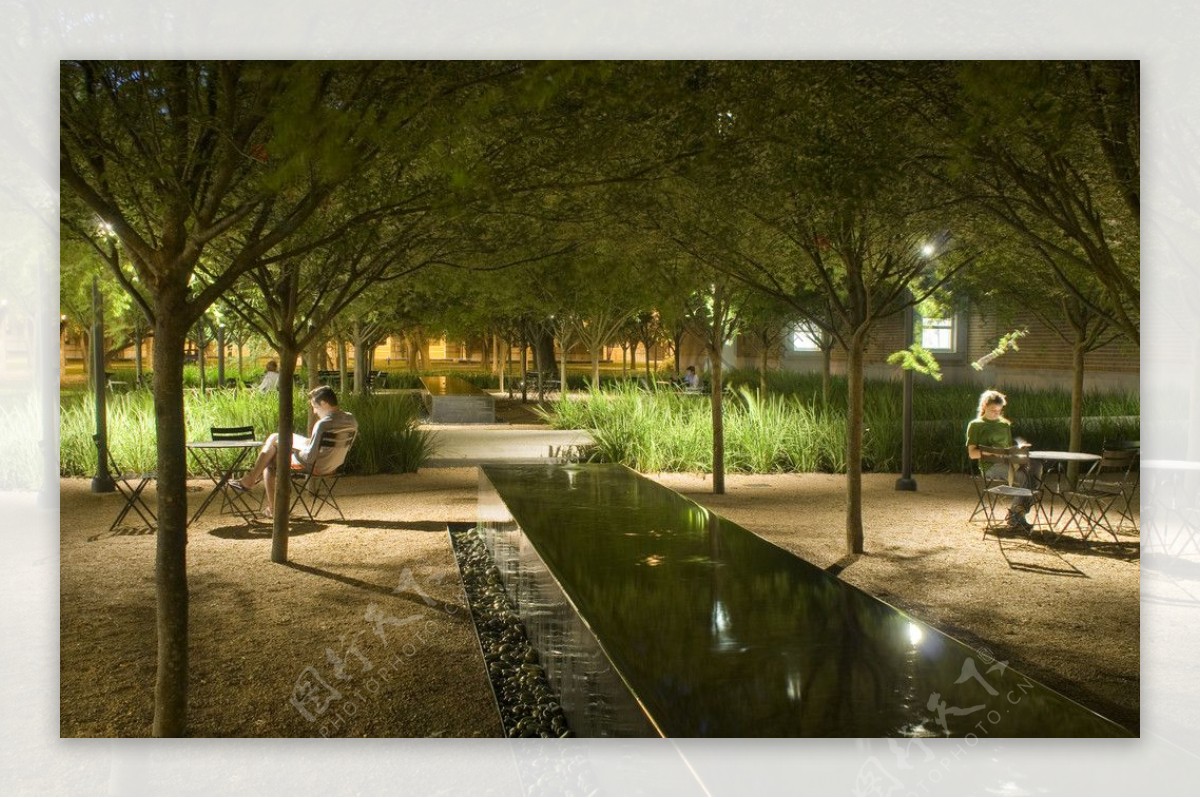 国外大学校园夜景图片