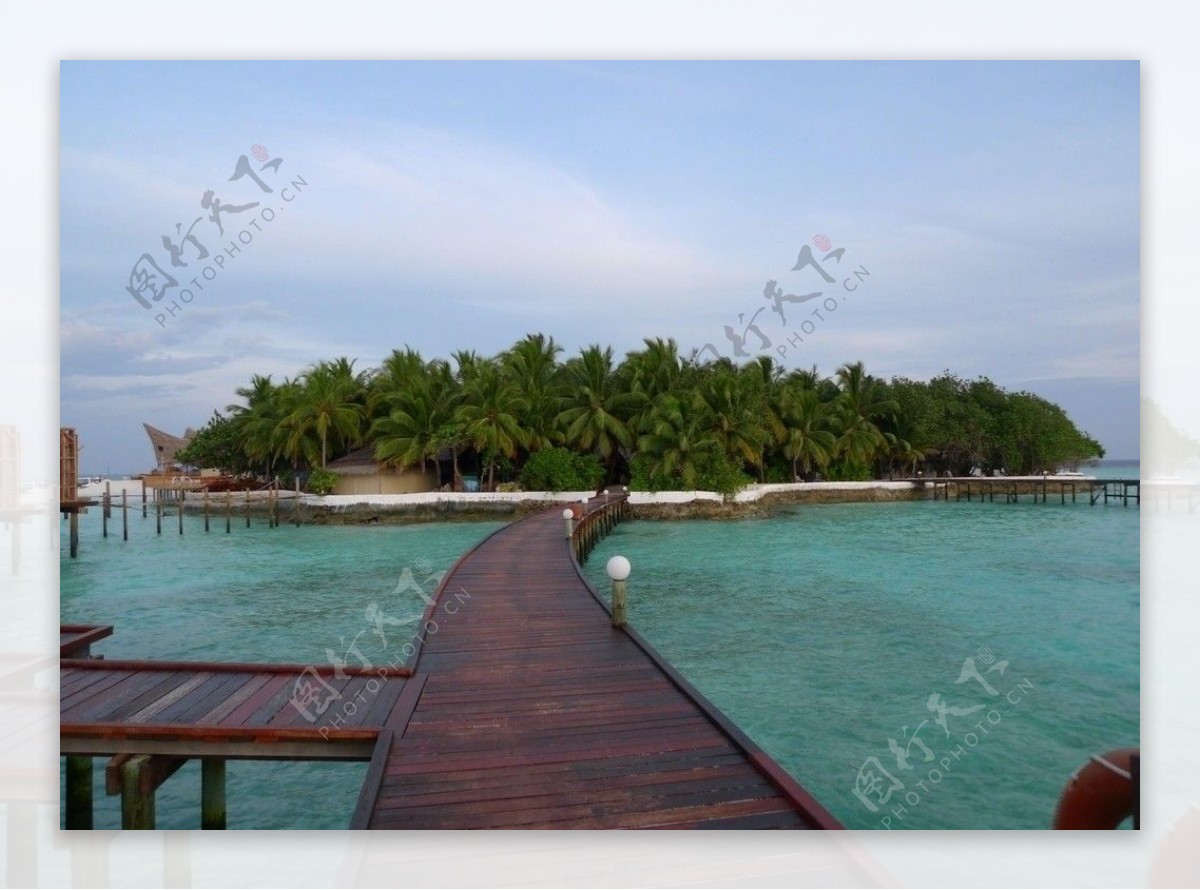 马尔代夫美人蕉岛图片