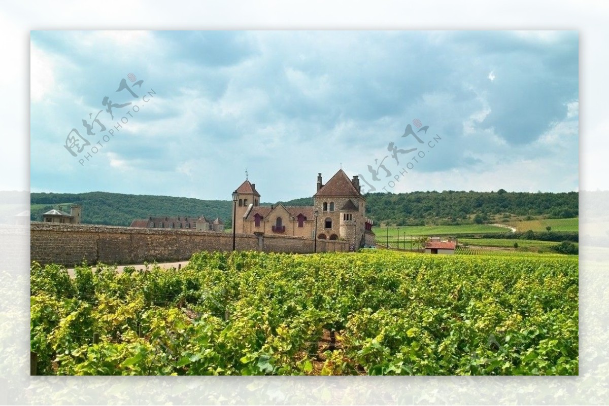 法国第戎葡萄园及城堡图片