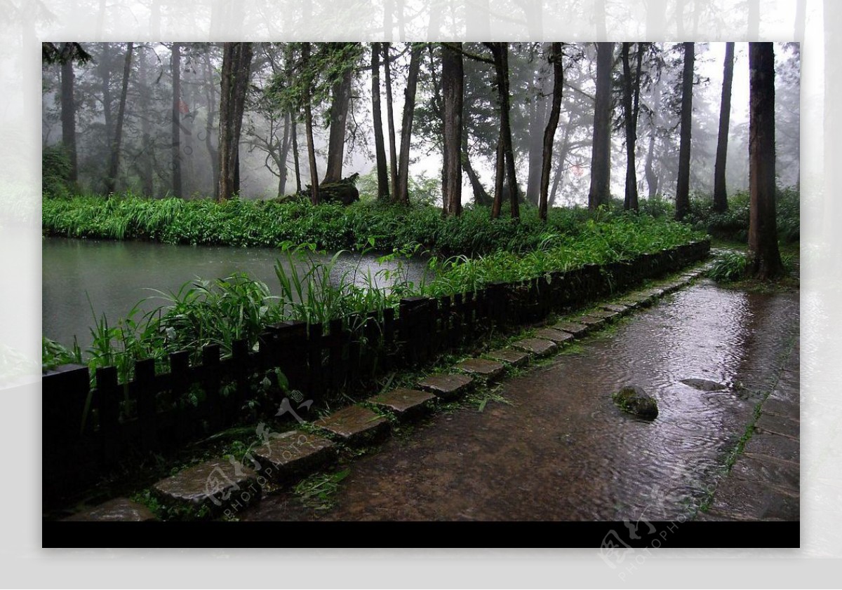 台灣嘉義縣阿里山姐妹潭雨景图片