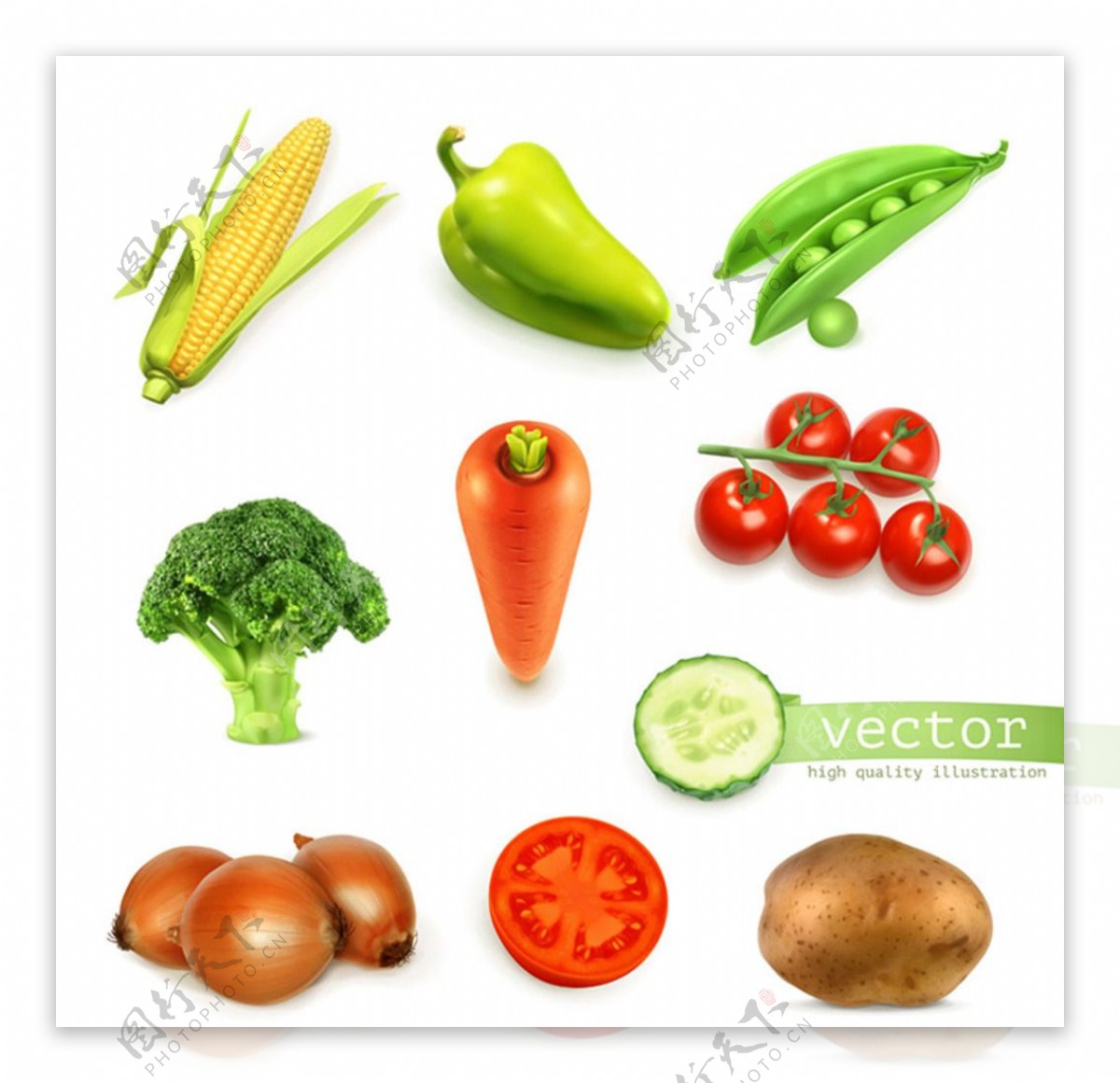 蔬菜图标设计图片