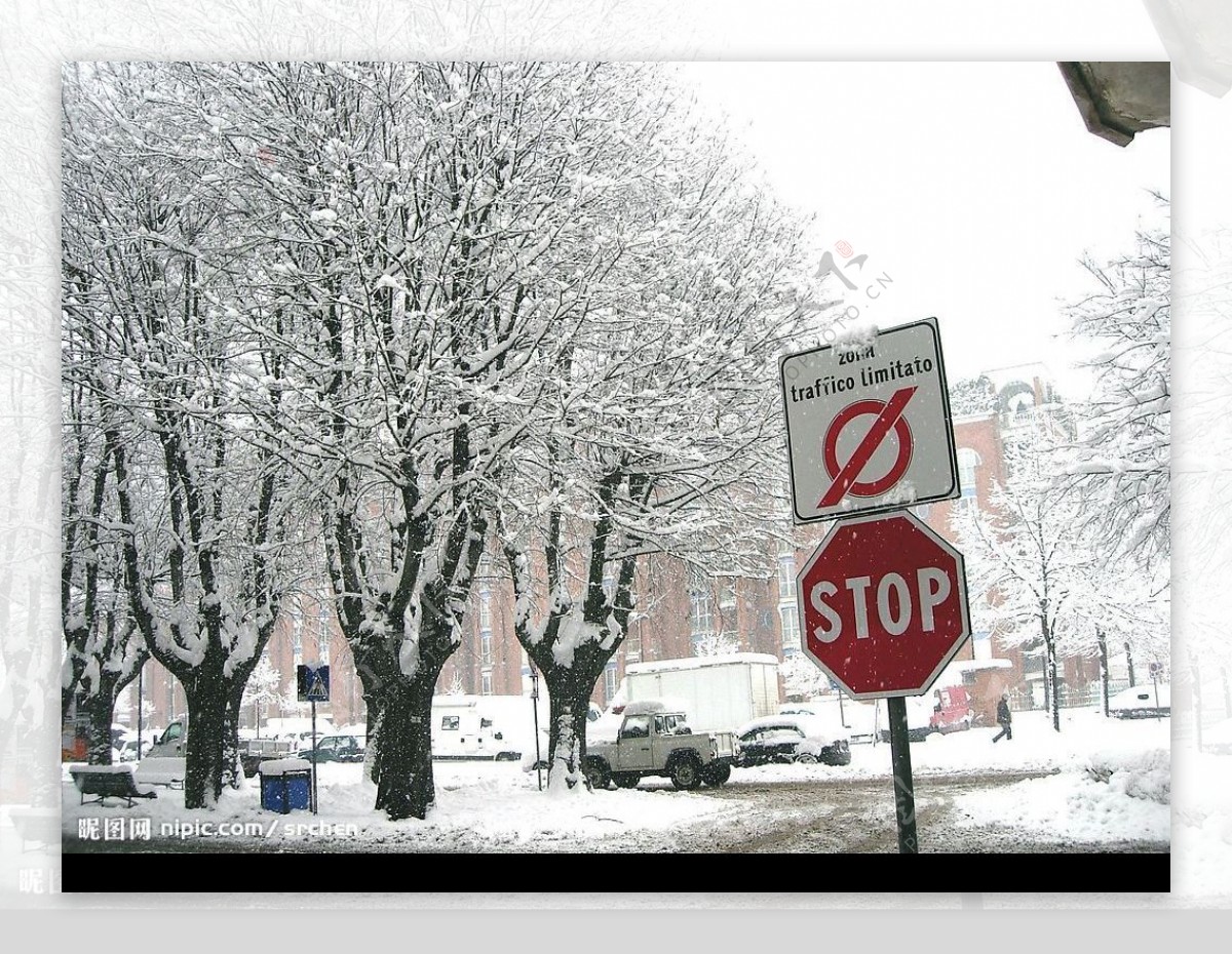 停止標誌和積雪的樹图片