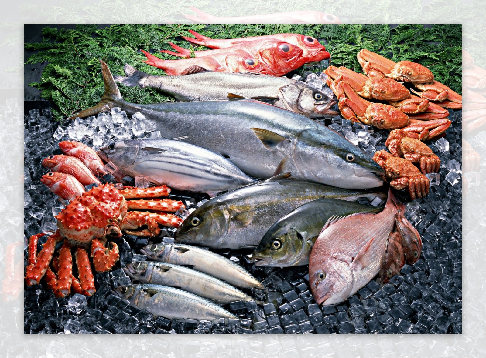 海鲜水产品分层图图片