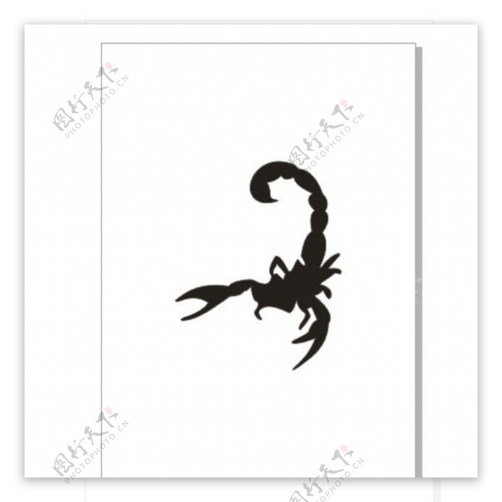 蝎子scorpion图片