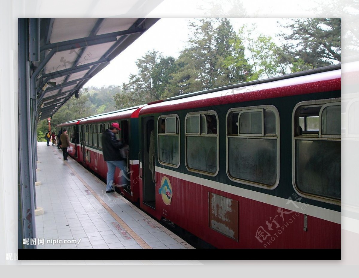 台灣嘉義縣阿里山國家風景區上車中图片