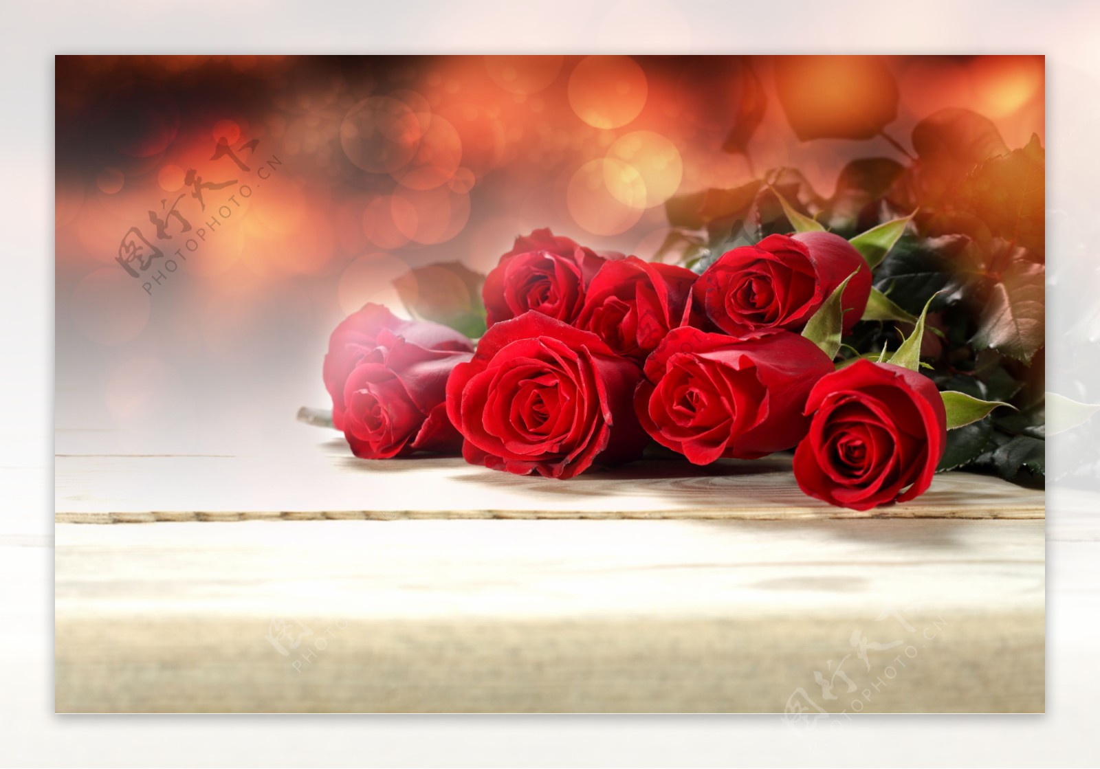 大红玫瑰花高清唯美壁纸-壁纸图片大全