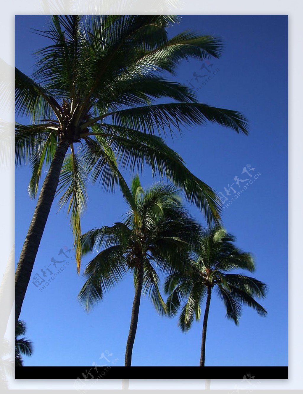 夏威夷的天空图片