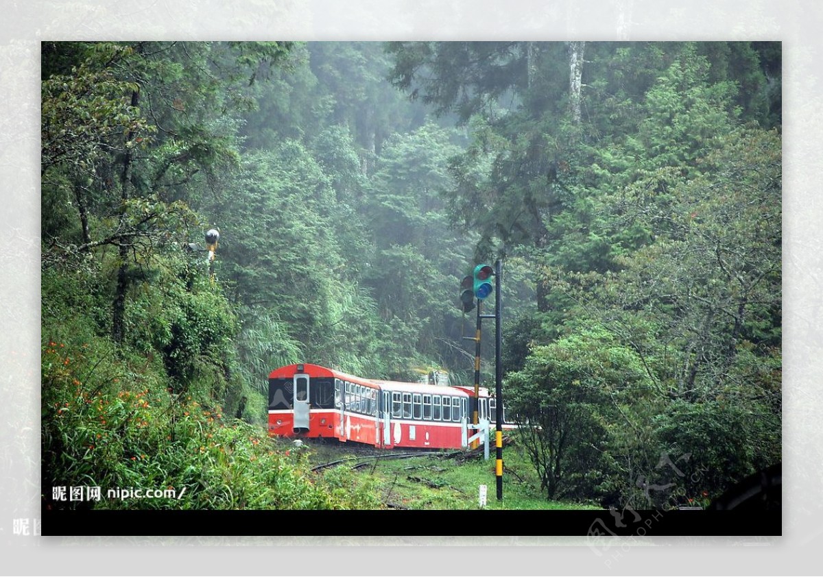 台灣嘉義薄霧中的阿里山森林火車图片