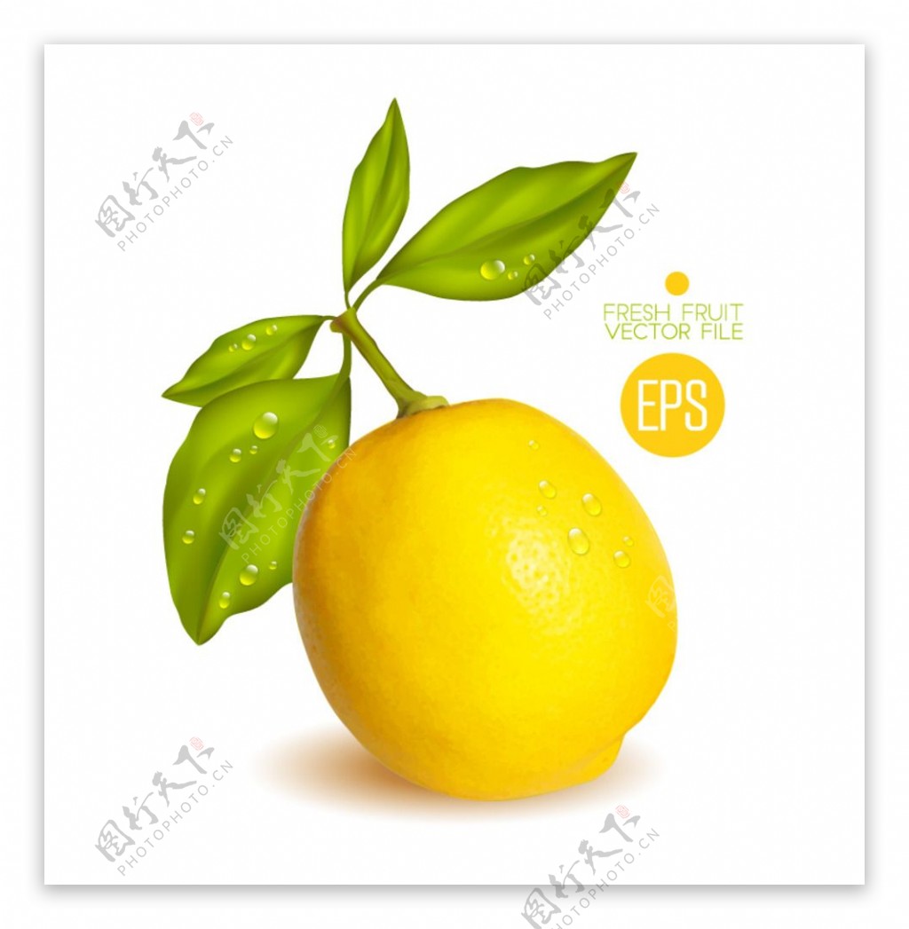 柠檬矢量素材图片