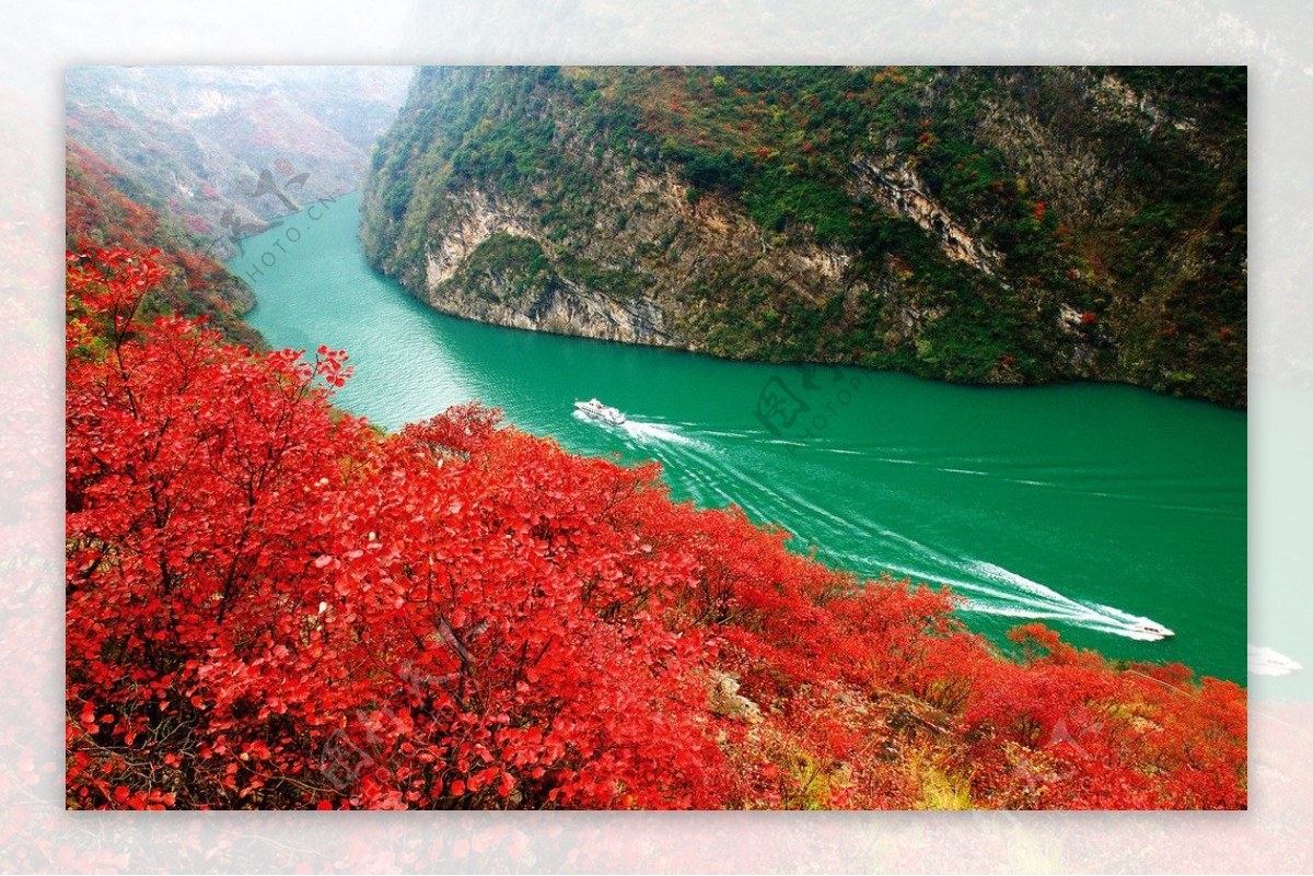 峡江红叶图片