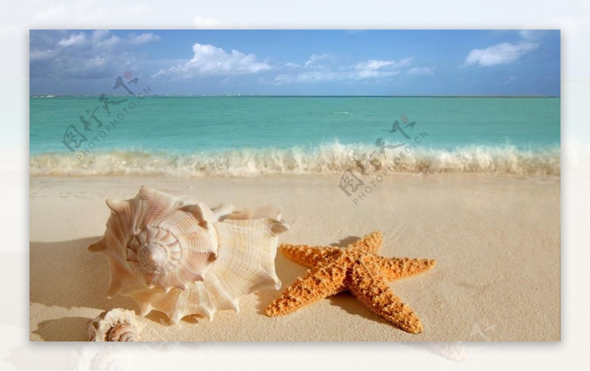 夏天沙滩海星碧图片