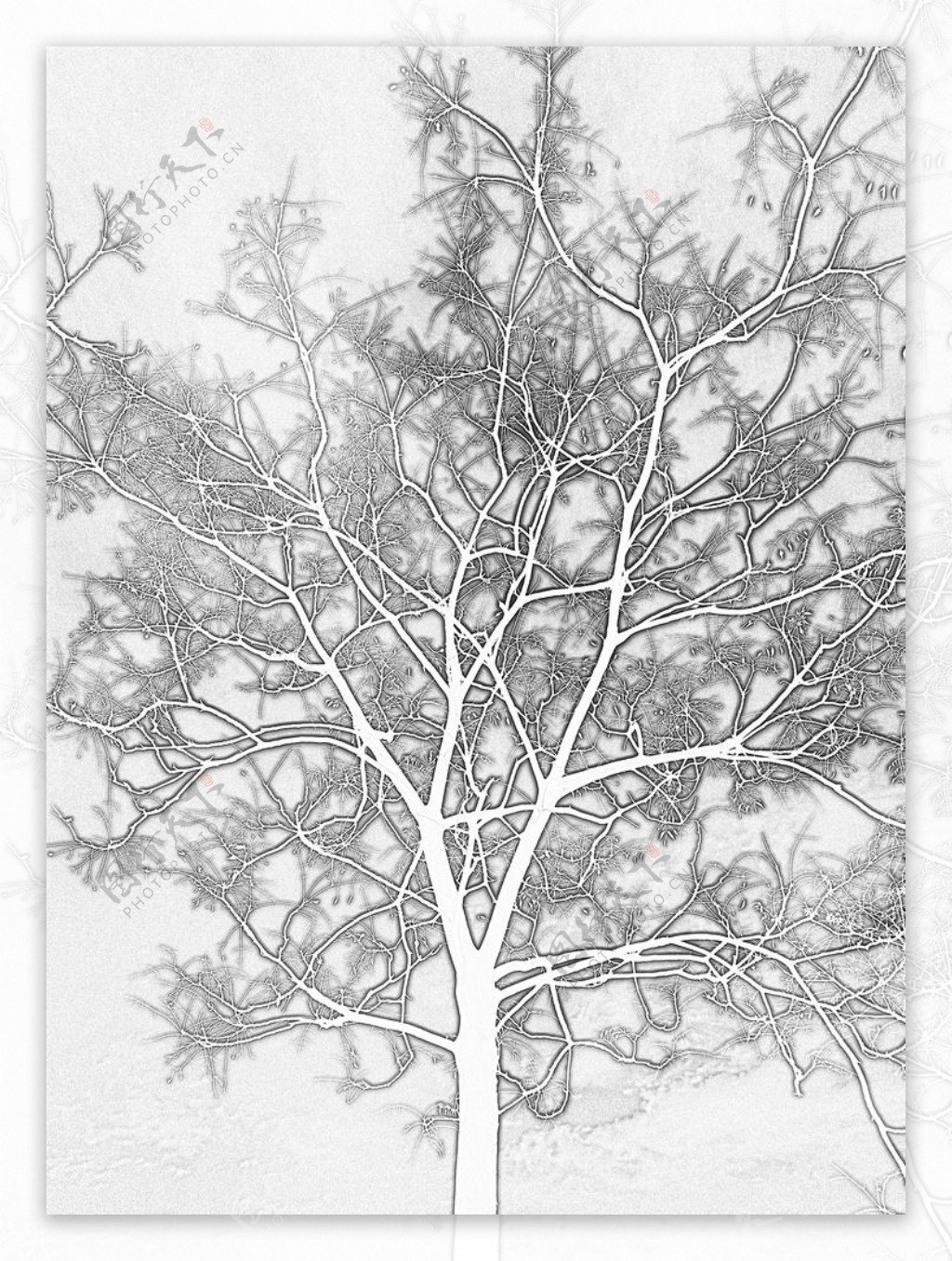 树枝底纹壁纸图片