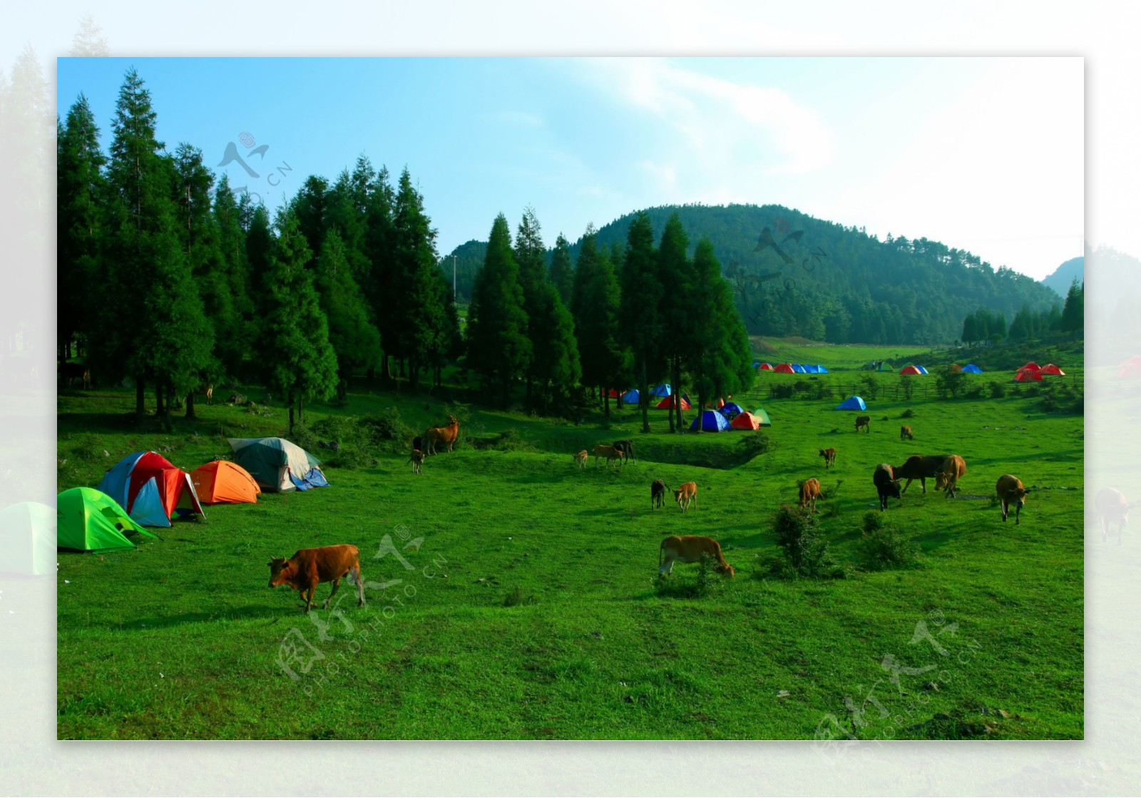 石柱千野草场图片