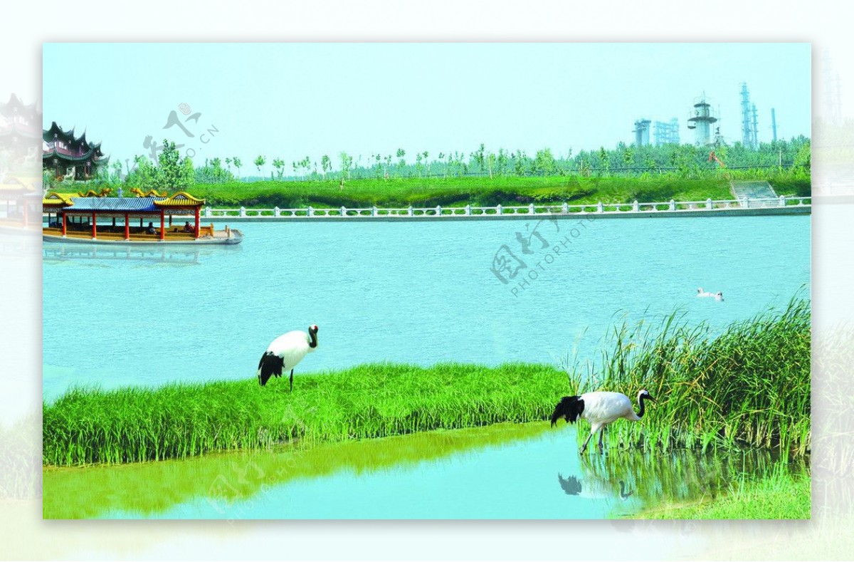 仙鹤湖图片