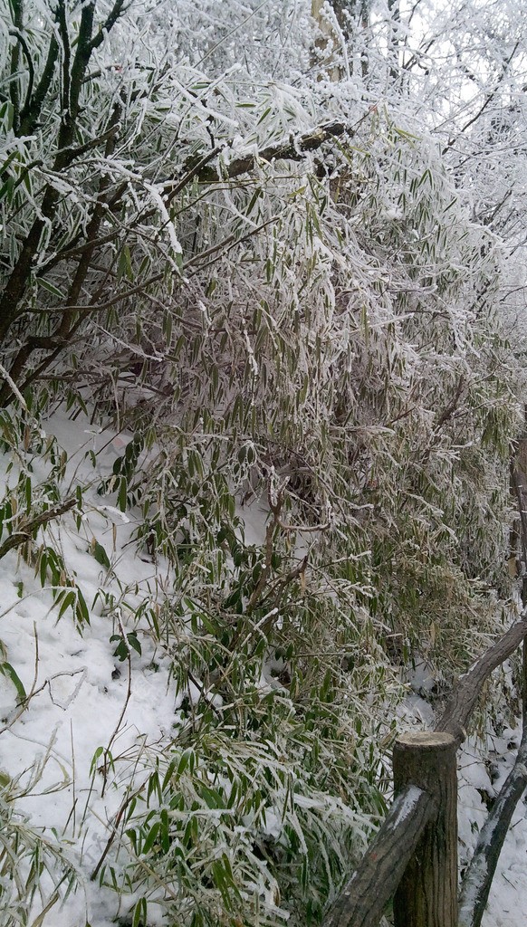 峨眉雪景图片