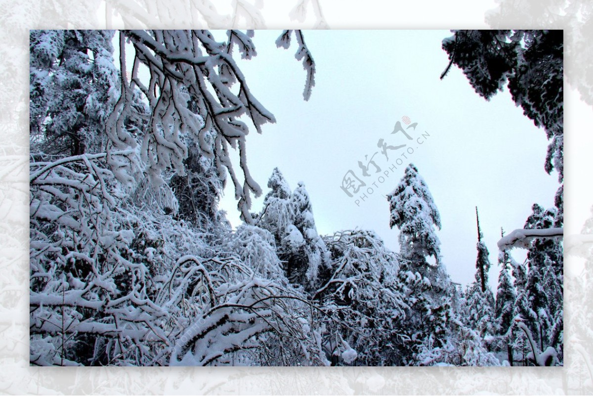 雪景峨眉山图片