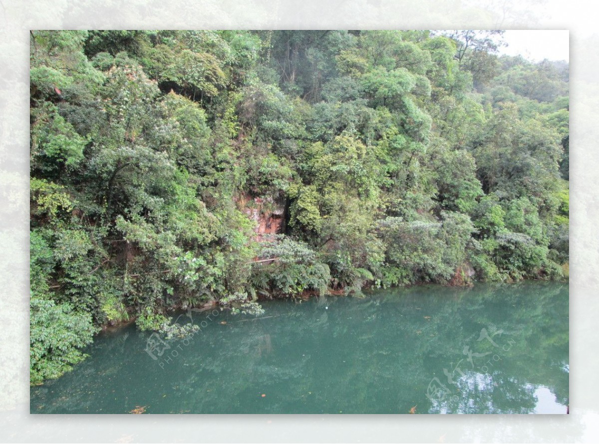 肇庆鼎湖山图片