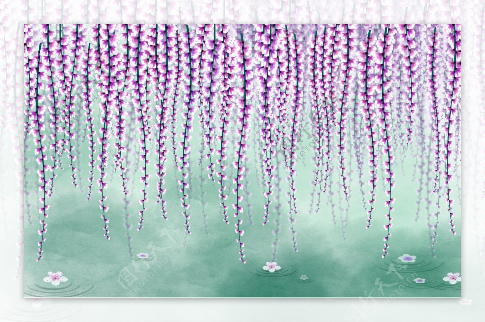 紫藤蔓图片