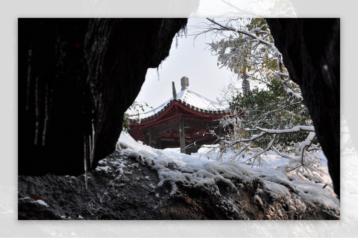 雪中亭立图片