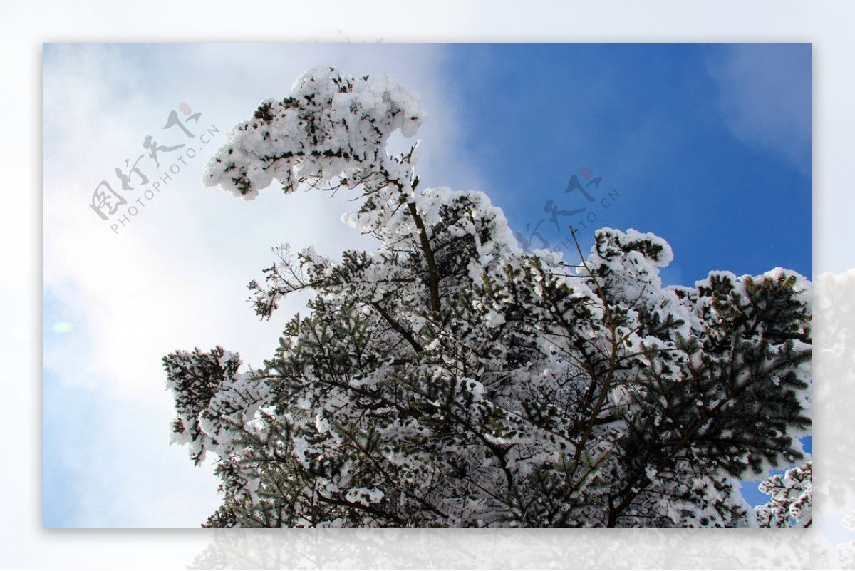 雪景峨眉山图片