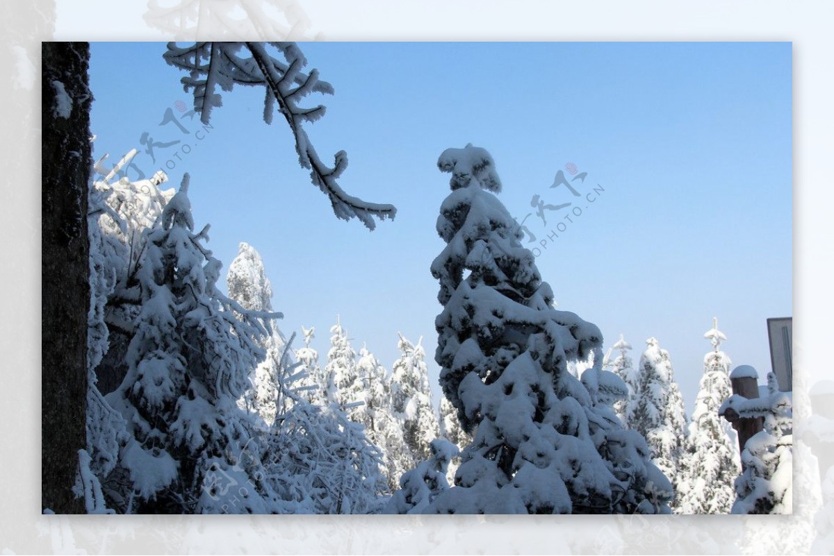 雪景峨眉山图片