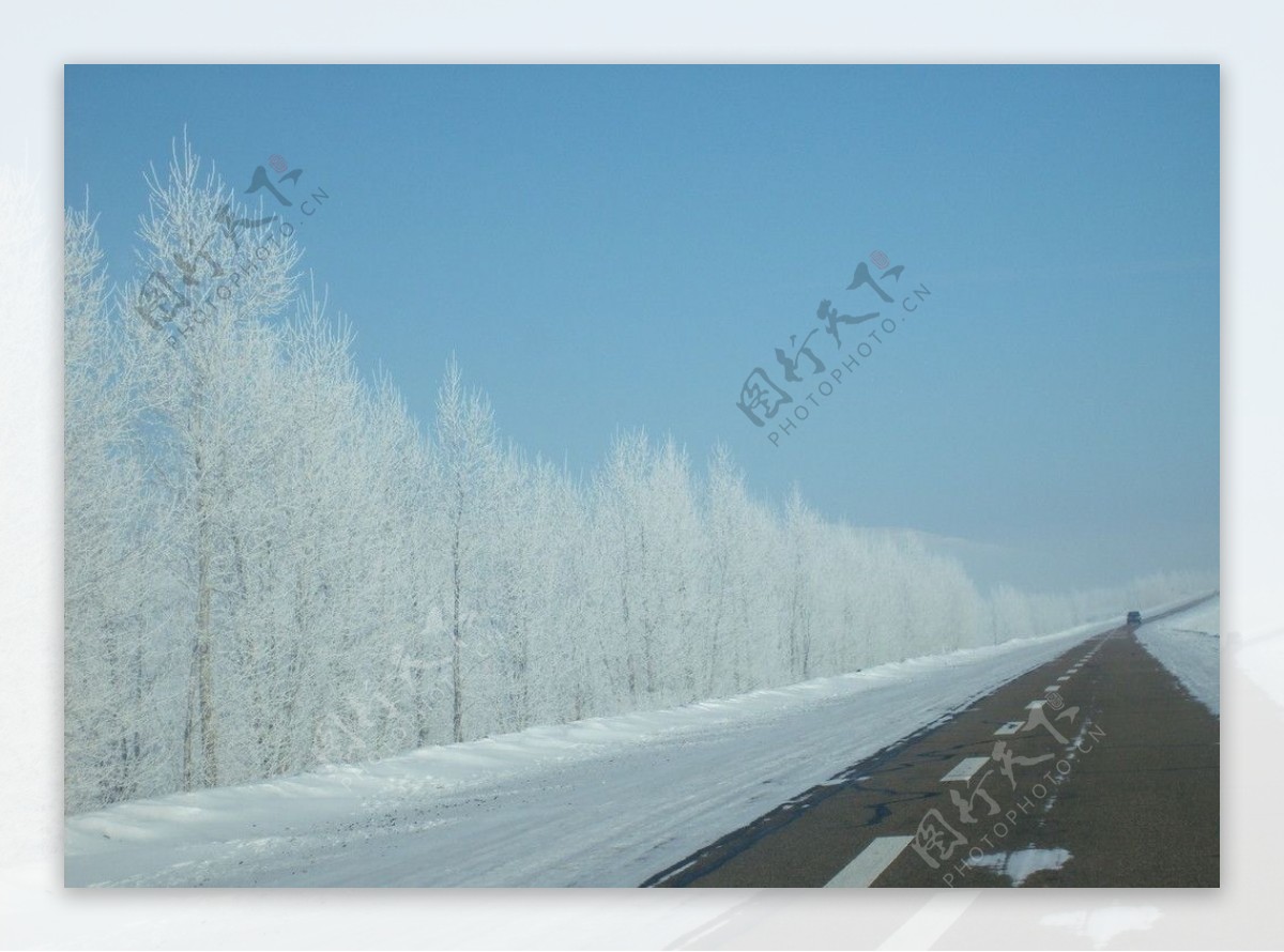 公路雪图片