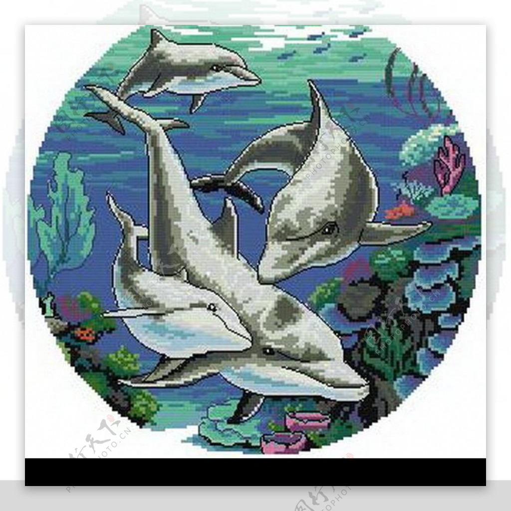 十字绣经典海豚图纸图片