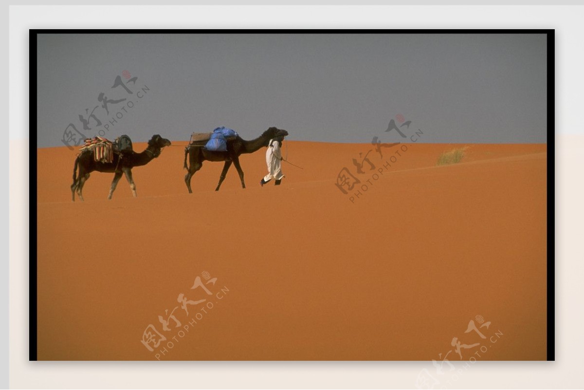 沙漠旅游图片