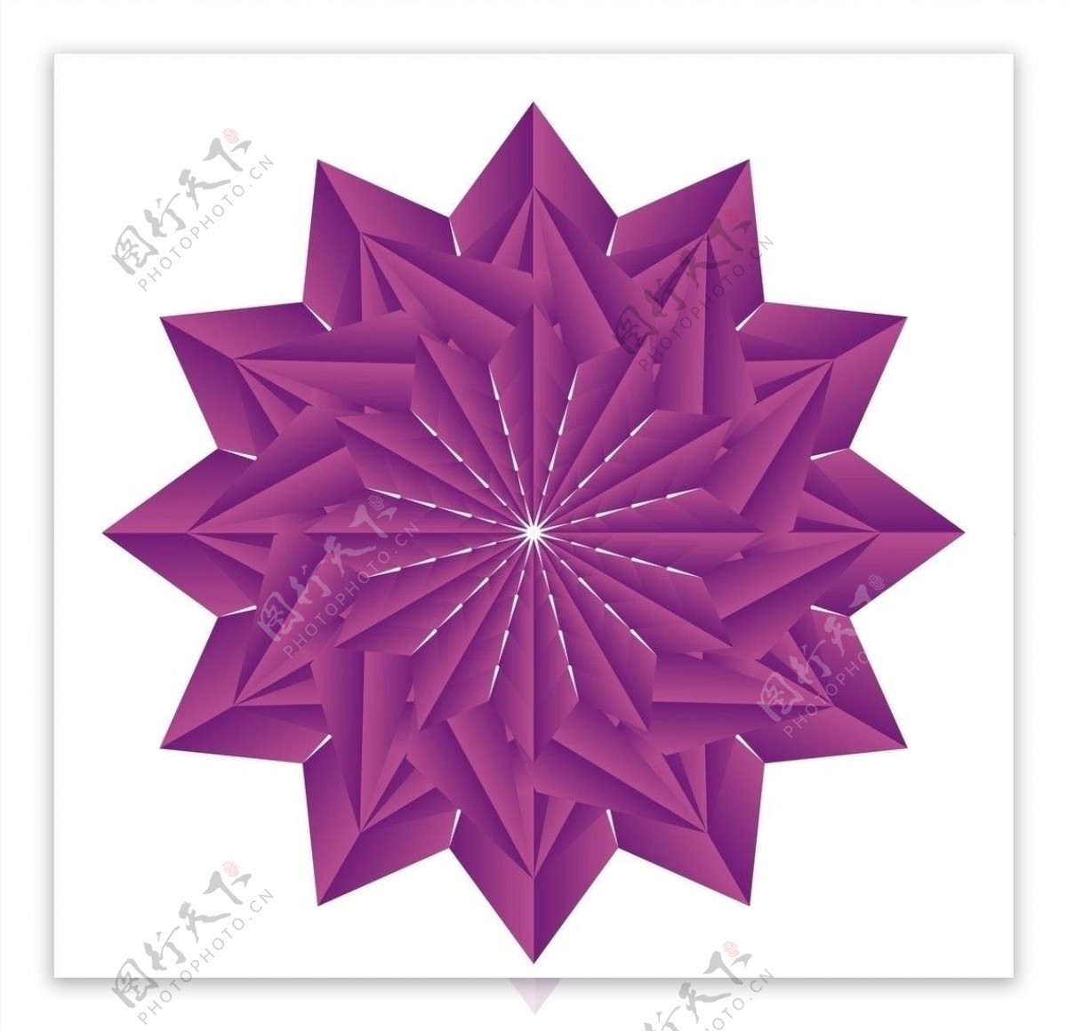 紫水晶玫瑰图片