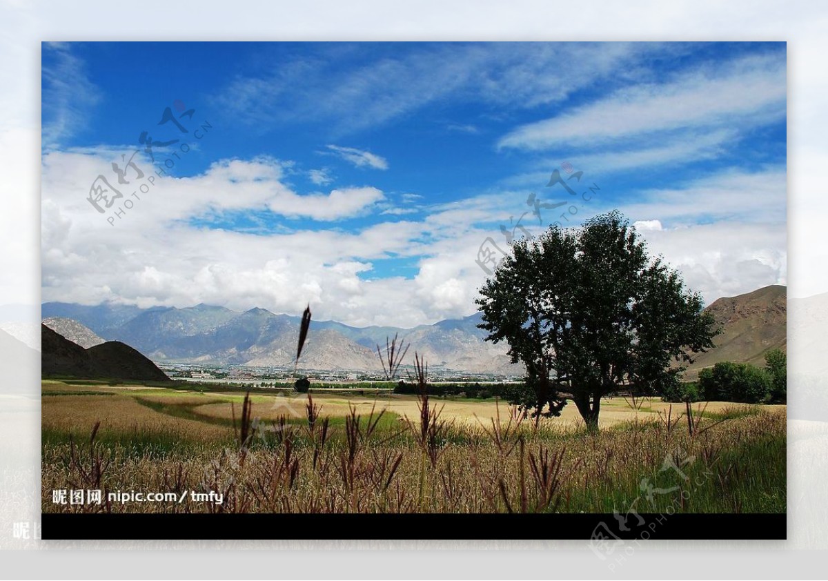 西藏田园风光图片