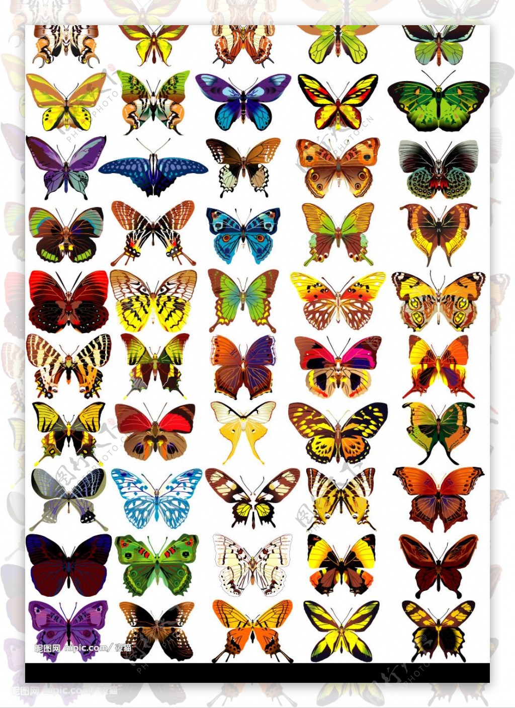 超酷多款矢量蝴蝶素材图片